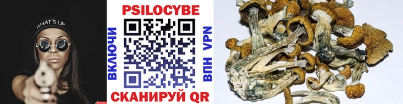 где найти наркотики  мега сайт  Галлюциногенные грибы Cubensis  Мценск 